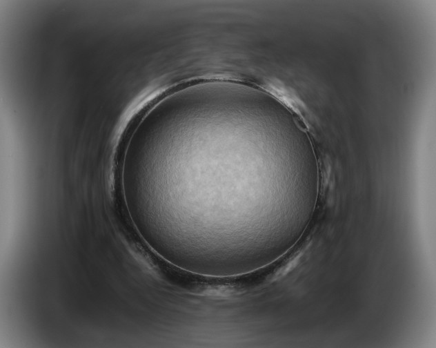 X0000086770344200704201809