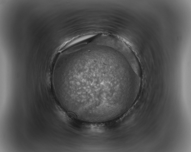 X0000086770345200704201809