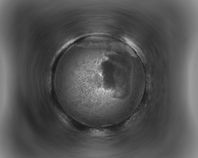 X0000086770346200704201809