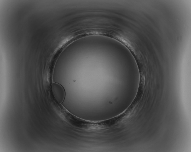 X0000086770347200704201809