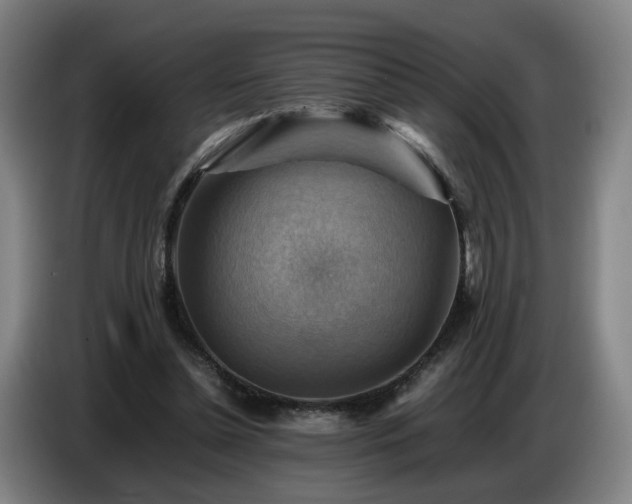 X0000086770348200704201809