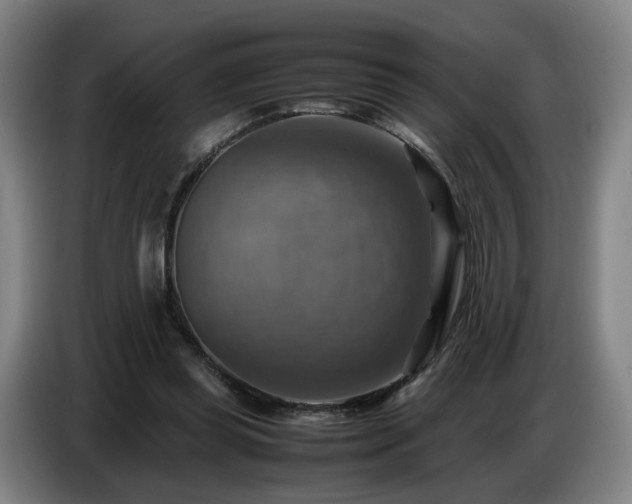 X0000086770349200704201809
