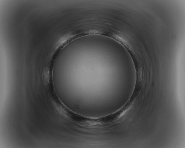 X0000086770351200704201809