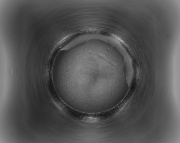X0000086770352200704201809