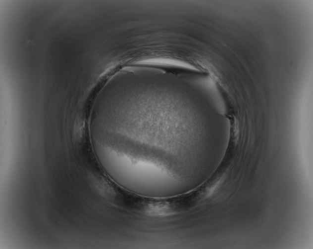 X0000086770355200704201809