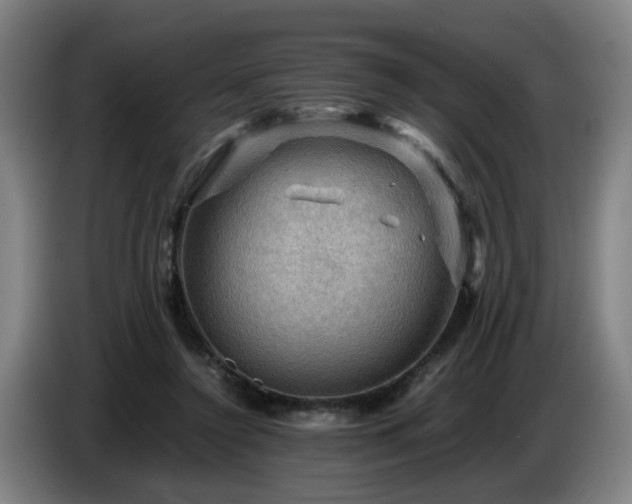 X0000086770356200704201809