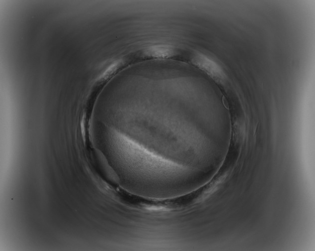 X0000086770358200704201809