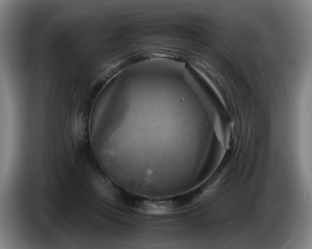 X0000086770359200704201809