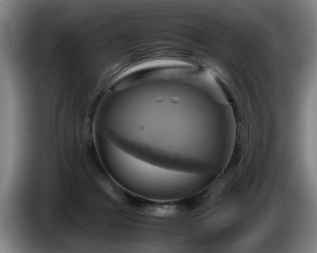 X0000086770361200704201809