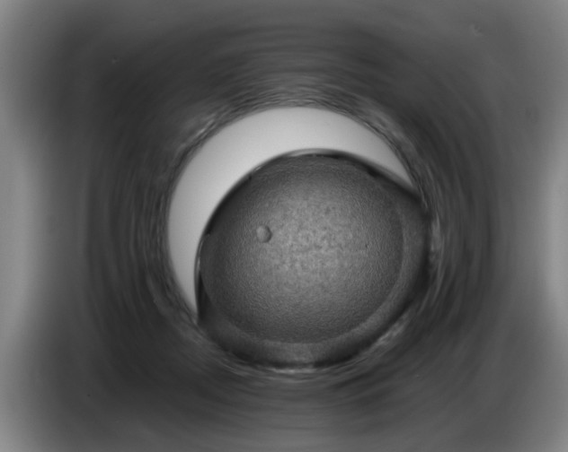 X0000086770362200704201809