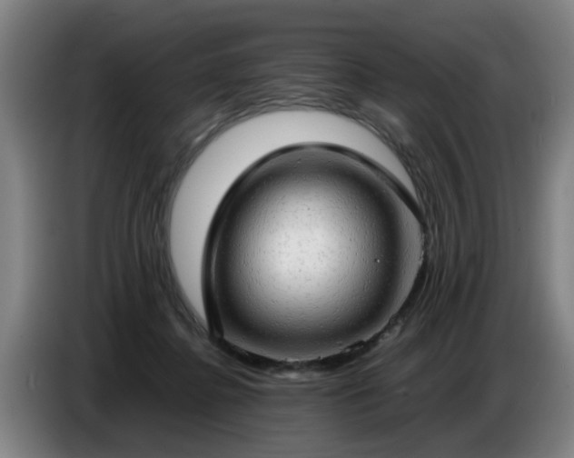 X0000086770364200704201809