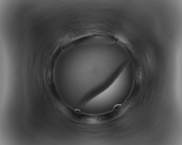 X0000086770365200704201809