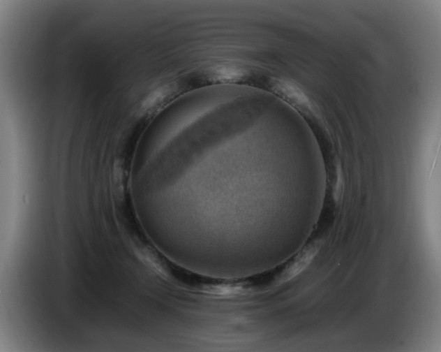 X0000086770366200704201809