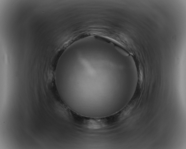 X0000086770367200704201809