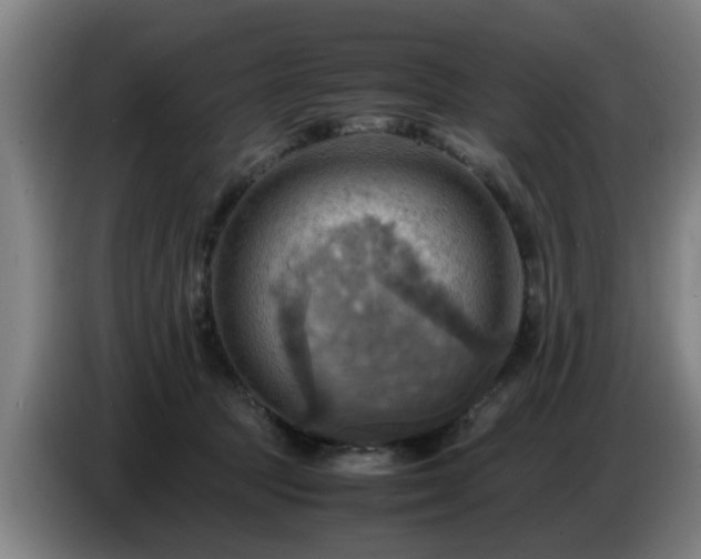 X0000086770369200704201809