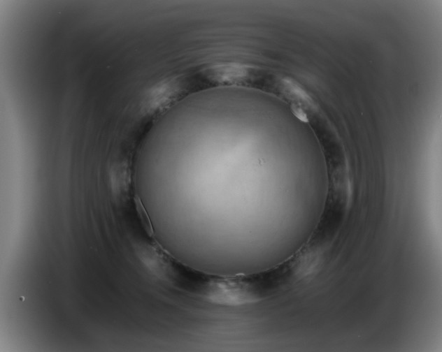 X0000086770372200704201809