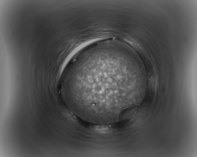 X0000086770373200704201809