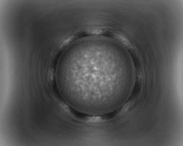 X0000086770374200704201809