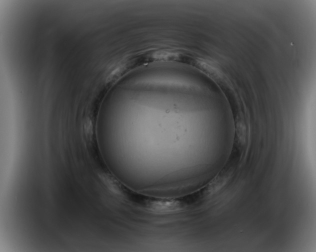 X0000086770375200704201809