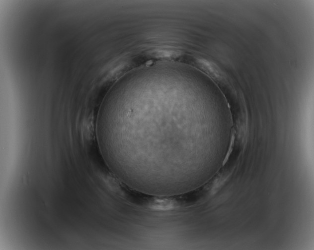 X0000086770376200704201809