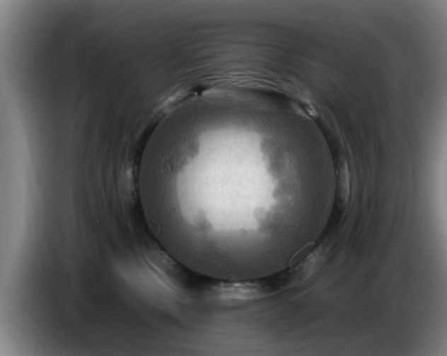 X0000086770378200704201809