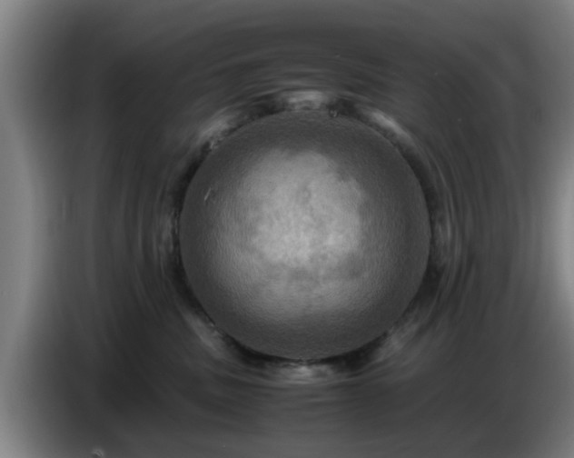 X0000086770379200704201809