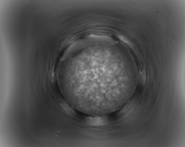 X0000086770381200704201809