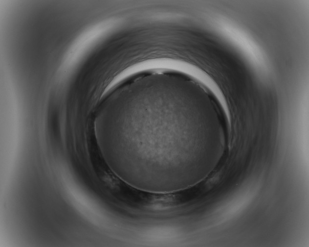 X0000086770382200704201809