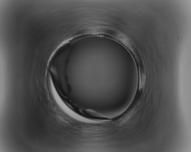 X0000086770387200704201809