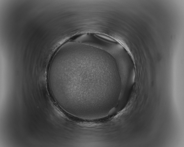 X0000086770389200704201809