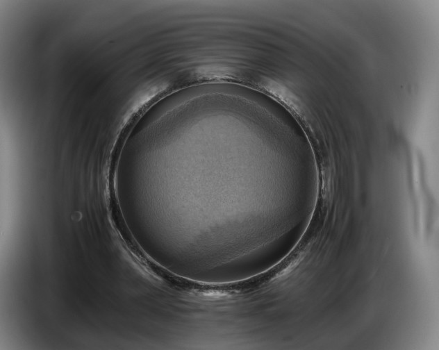 X0000086770390200704201809