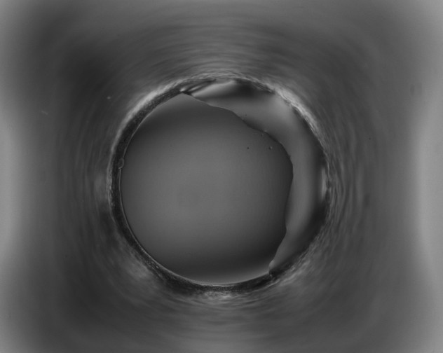 X0000086770391200704201809
