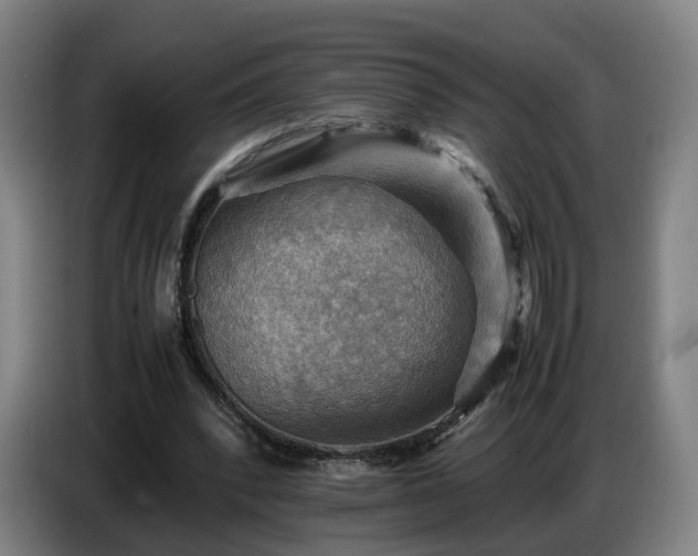 X0000086770392200704201809