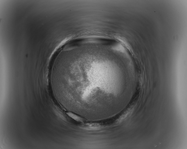 X0000086770395200704201809