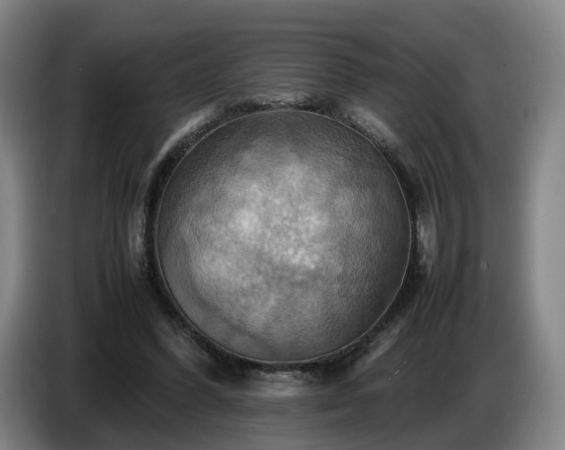 X0000086770396200704201809