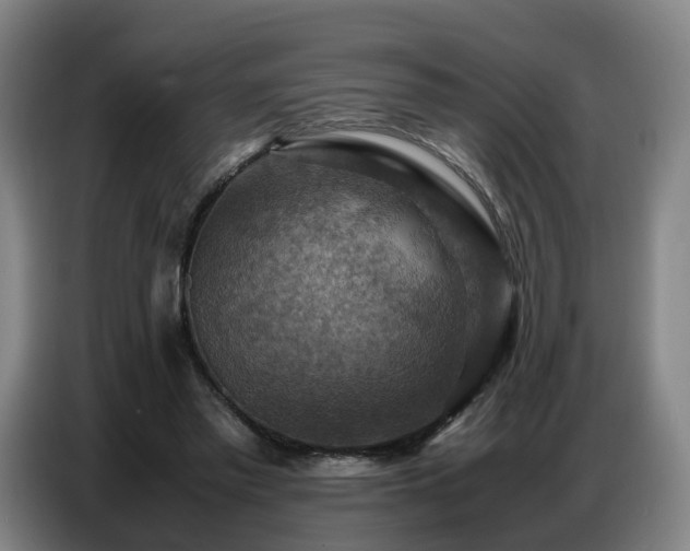 X0000086770397200704201808