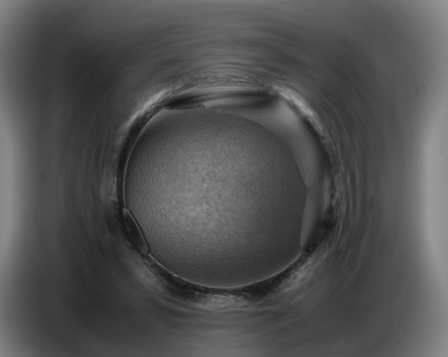 X0000086770399200704201808