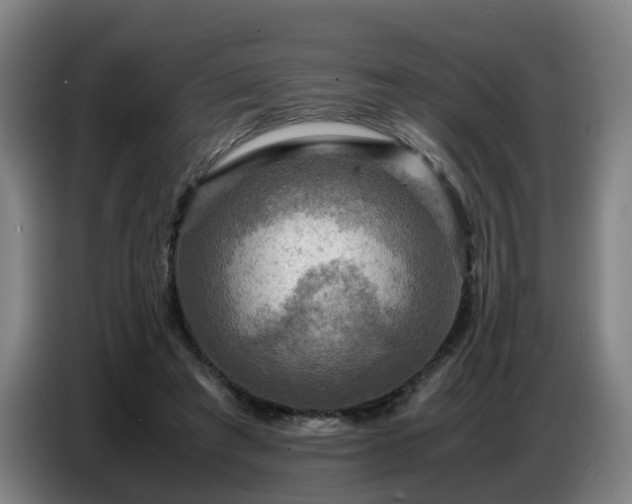 X0000086770401200704201808