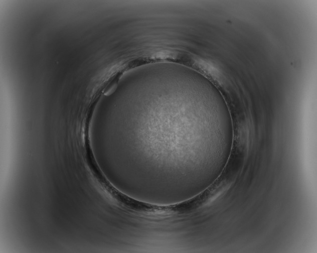 X0000086770402200704201808