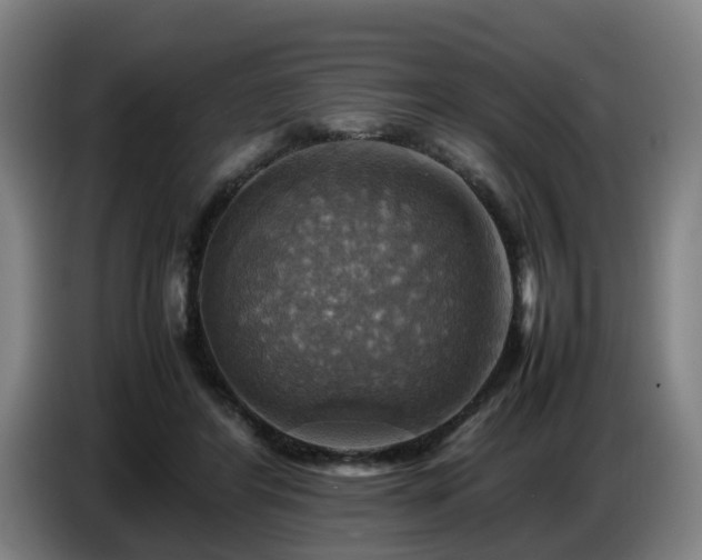 X0000086770404200704201808