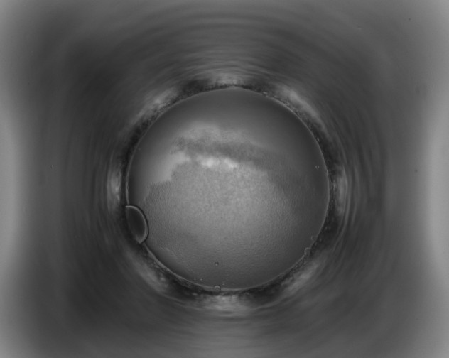 X0000086770406200704201808