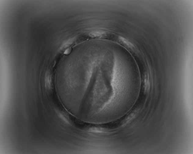 X0000086770408200704201808