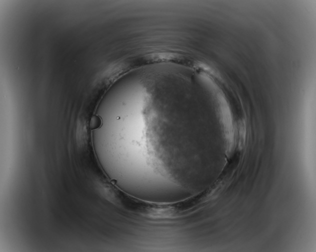 X0000086770410200704201808