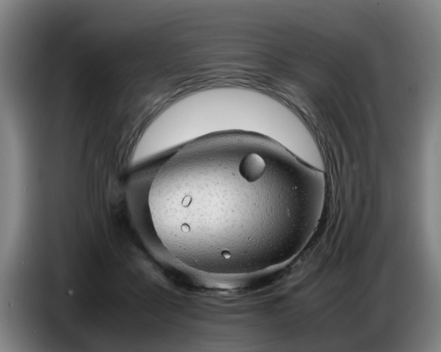 X0000086770411200704201808