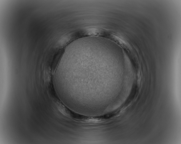 X0000086770413200704201808
