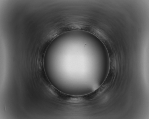 X0000086770414200704201808