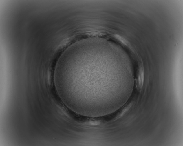 X0000086770416200704201808