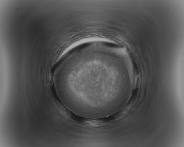 X0000086770417200704201808