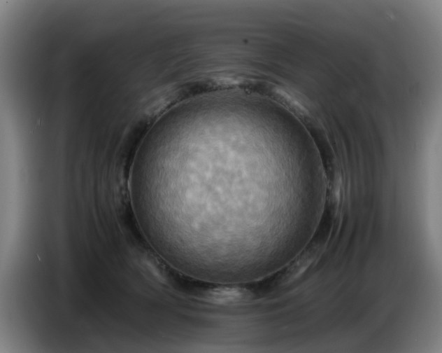 X0000086770418200704201808