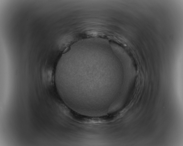 X0000086770420200704201808